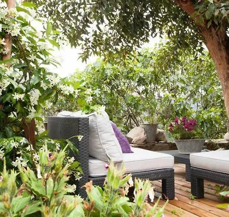 Chez Caro Oda ve Kahvaltı *